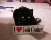 Profile picture for user GROBanMELODY